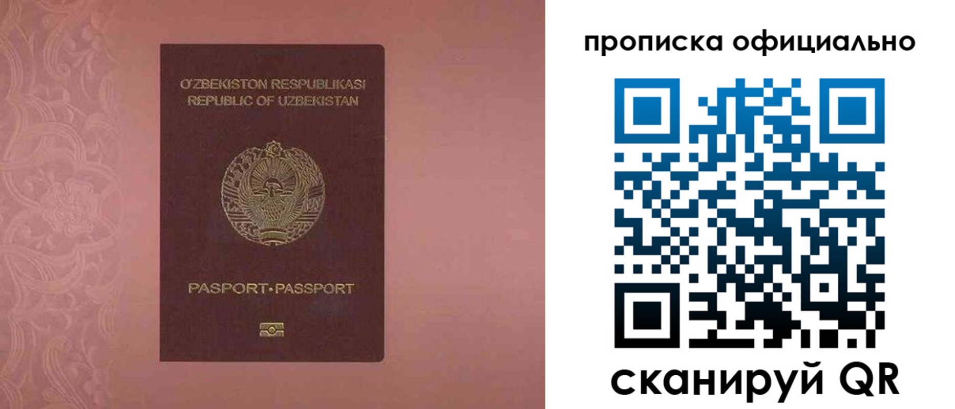 прописка гарантия в Новошахтинске